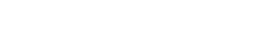 Everest Digital